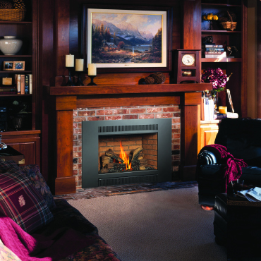 Afton Landscape Supply > Fireplaces & Stoves > Wood