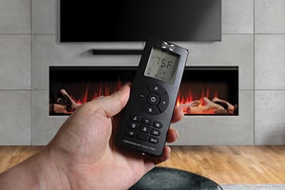FPX GSE remote control