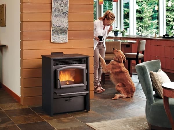 Lopi AGP stove with dog by the fire