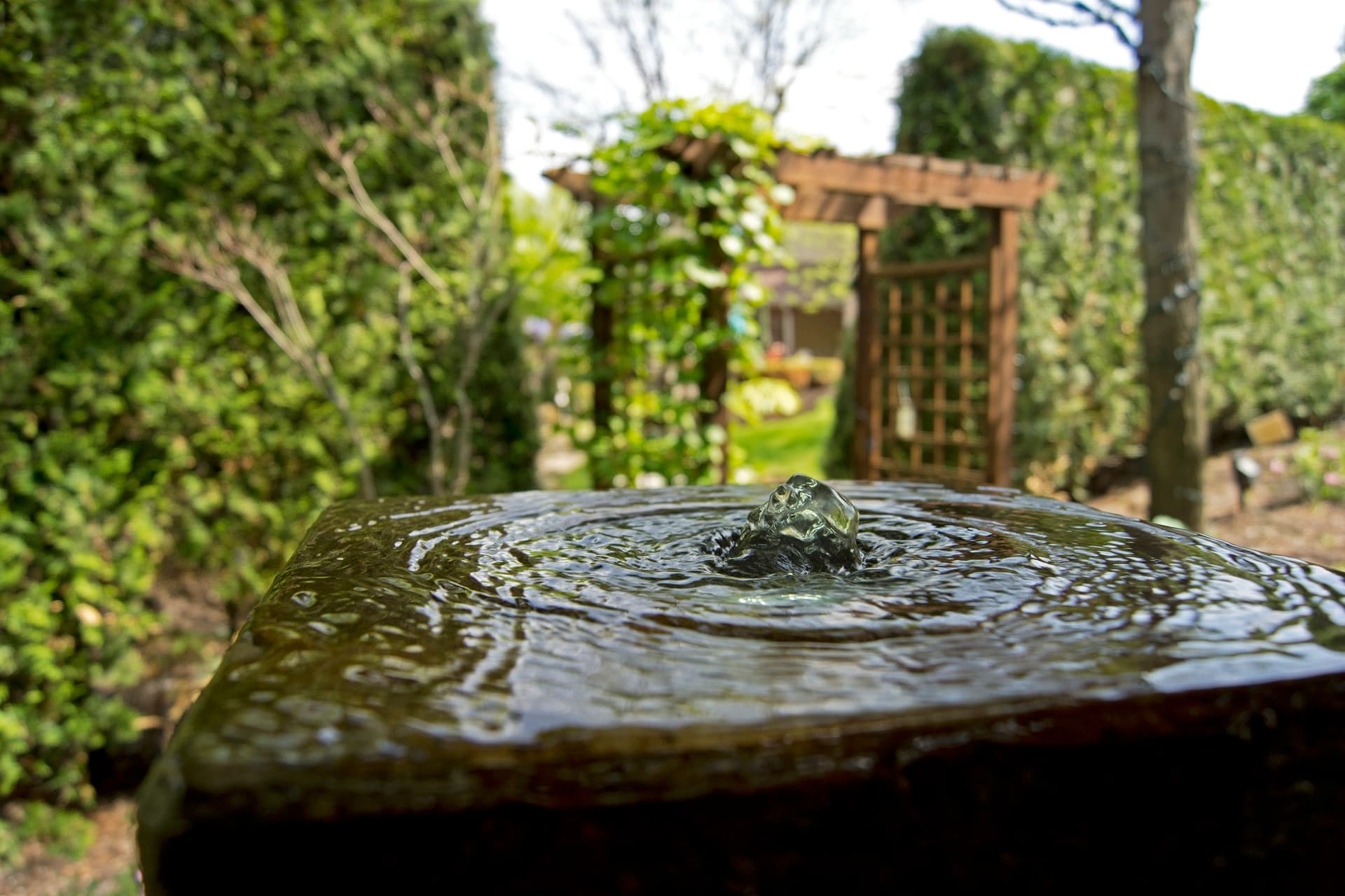 Henri Studio garden accent